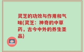灵芝的功效与作用和气味(灵芝：神奇的中草药，古今中外的养生圣品)