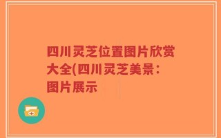 四川灵芝位置图片欣赏大全(四川灵芝美景：图片展示