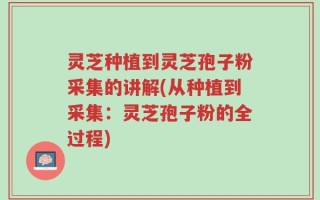 灵芝种植到灵芝孢子粉采集的讲解(从种植到采集：灵芝孢子粉的全过程)