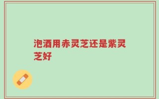 泡酒用赤灵芝还是紫灵芝好