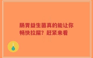 肠胃益生菌真的能让你畅快拉屎？赶紧来看