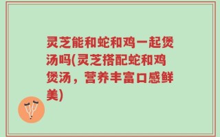 灵芝能和蛇和鸡一起煲汤吗(灵芝搭配蛇和鸡煲汤，营养丰富口感鲜美)