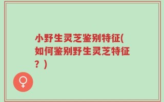 小野生灵芝鉴别特征(如何鉴别野生灵芝特征？)