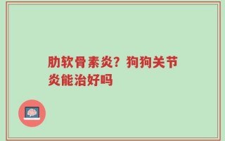 肋软骨素炎？狗狗关节炎能治好吗