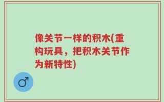 像关节一样的积木(重构玩具，把积木关节作为新特性)