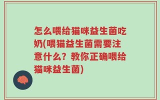 怎么喂给猫咪益生菌吃奶(喂猫益生菌需要注意什么？教你正确喂给猫咪益生菌)