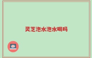 灵芝泡水泡水喝吗