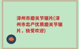 漳州市磨关节锯片(漳州市出产优质磨关节锯片，极受欢迎)