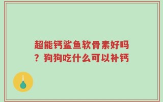 超能钙鲨鱼软骨素好吗？狗狗吃什么可以补钙