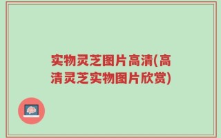 实物灵芝图片高清(高清灵芝实物图片欣赏)