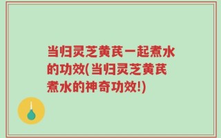 当归灵芝黄芪一起煮水的功效(当归灵芝黄芪煮水的神奇功效!)