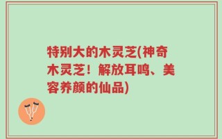 特别大的木灵芝(神奇木灵芝！解放耳鸣、美容养颜的仙品)