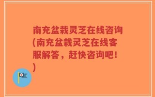 南充盆栽灵芝在线咨询(南充盆栽灵芝在线客服解答，赶快咨询吧！)
