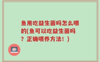 鱼用吃益生菌吗怎么喂的(鱼可以吃益生菌吗？正确喂养方法！)