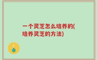 一个灵芝怎么培养的(培养灵芝的方法)
