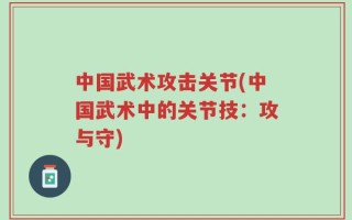 中国武术攻击关节(中国武术中的关节技：攻与守)