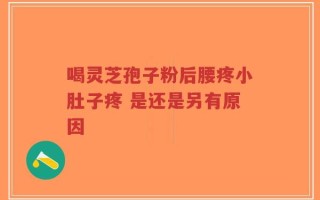 喝灵芝孢子粉后腰疼小肚子疼 是还是另有原因