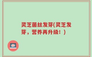 灵芝菌丝发芽(灵芝发芽，营养再升级！)