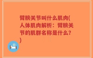 臂膀关节叫什么肌肉(人体肌肉解析：臂膀关节的肌群名称是什么？)