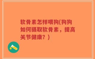 软骨素怎样喂狗(狗狗如何摄取软骨素，提高关节健康？)