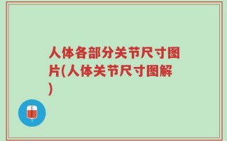 人体各部分关节尺寸图片(人体关节尺寸图解)