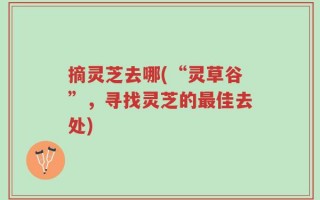 摘灵芝去哪(“灵草谷”，寻找灵芝的最佳去处)