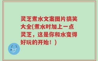 灵芝煮水文案图片搞笑大全(煮水时加上一点灵芝，这是你和水变得好玩的开始！)