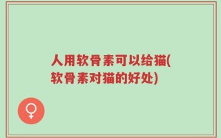 人用软骨素可以给猫(软骨素对猫的好处)
