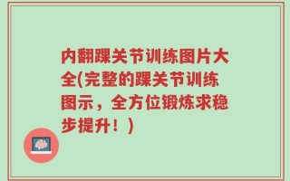内翻踝关节训练图片大全(完整的踝关节训练图示，全方位锻炼求稳步提升！)