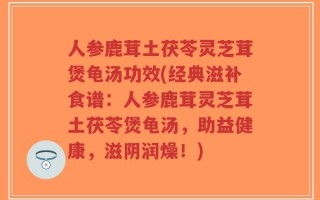 人参鹿茸土茯苓灵芝茸煲龟汤功效(经典滋补食谱：人参鹿茸灵芝茸土茯苓煲龟汤，助益健康，滋阴润燥！)