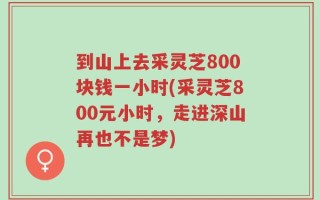到山上去采灵芝800块钱一小时(采灵芝800元小时，走进深山再也不是梦)