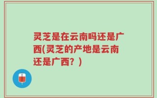 灵芝是在云南吗还是广西(灵芝的产地是云南还是广西？)