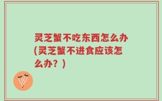 灵芝蟹不吃东西怎么办(灵芝蟹不进食应该怎么办？)
