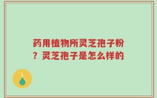 药用植物所灵芝孢子粉？灵芝孢子是怎么样的