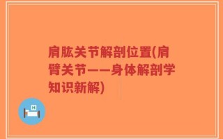肩肱关节解剖位置(肩臂关节——身体解剖学知识新解)