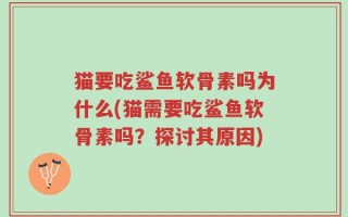 猫要吃鲨鱼软骨素吗为什么(猫需要吃鲨鱼软骨素吗？探讨其原因)