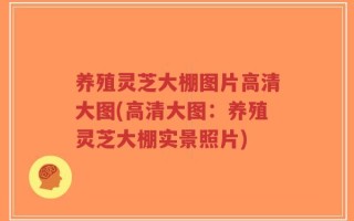 养殖灵芝大棚图片高清大图(高清大图：养殖灵芝大棚实景照片)