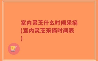 室内灵芝什么时候采摘(室内灵芝采摘时间表)