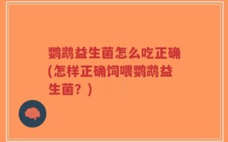 鹦鹉益生菌怎么吃正确(怎样正确饲喂鹦鹉益生菌？)