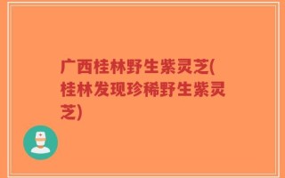 广西桂林野生紫灵芝(桂林发现珍稀野生紫灵芝)