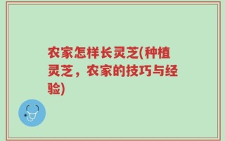 农家怎样长灵芝(种植灵芝，农家的技巧与经验)