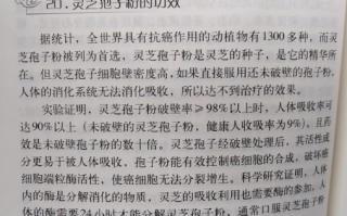 抗癌灵芝孢子粉作用原理是怎么样的？应该怎么吃？