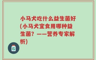 小马犬吃什么益生菌好(小马犬宜食用哪种益生菌？——营养专家解析)