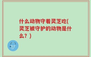 什么动物守着灵芝吃(灵芝被守护的动物是什么？)