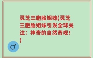 灵芝三胞胎姐妹(灵芝三胞胎姐妹引发全球关注：神奇的自然奇观！)