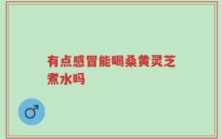 有点感冒能喝桑黄灵芝煮水吗
