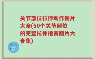 关节部位拉伸动作图片大全(50个关节部位的完整拉伸指南图片大合集)