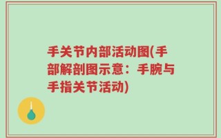 手关节内部活动图(手部解剖图示意：手腕与手指关节活动)