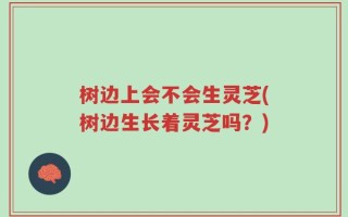 树边上会不会生灵芝(树边生长着灵芝吗？)