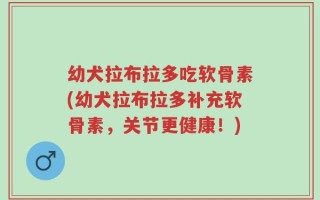 幼犬拉布拉多吃软骨素(幼犬拉布拉多补充软骨素，关节更健康！)